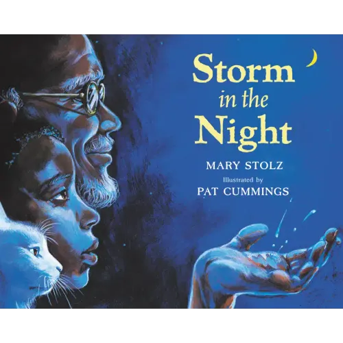 Storm in the Night