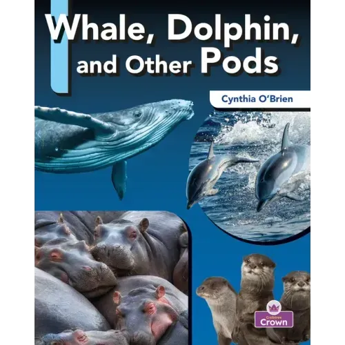 Whale, Dolphin, and Other Pods
