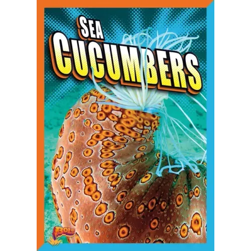 Sea Cucumbers