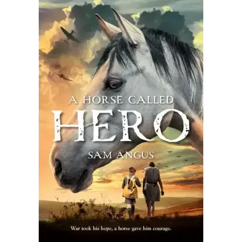 A Horse Called Hero