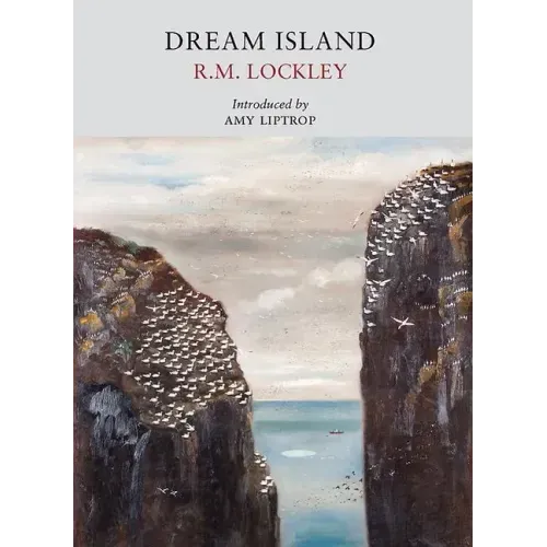 Dream Island