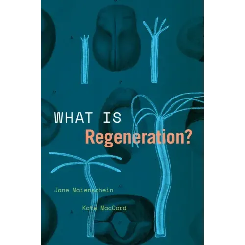 What Is Regeneration?