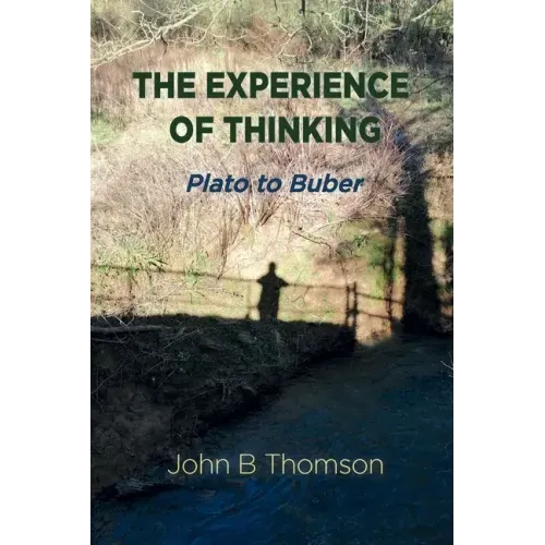 The Experience of Thinking