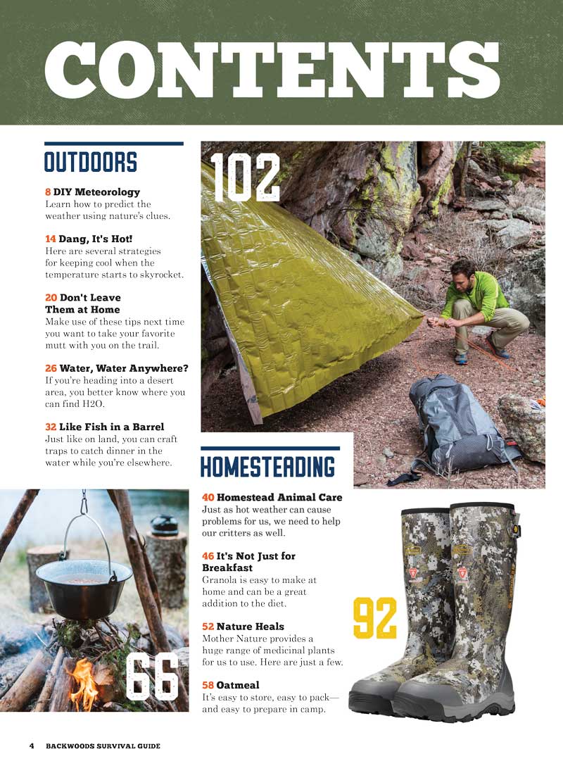 Backwoods Survival Guide - Living Off The Land No. 27: 200+ Essential Tips, Making Bandages, Medicinal Plants, Fish Trapping, Outdoor Cooking, Weather Predictions, Protecting Pets, Knife & Gear Review