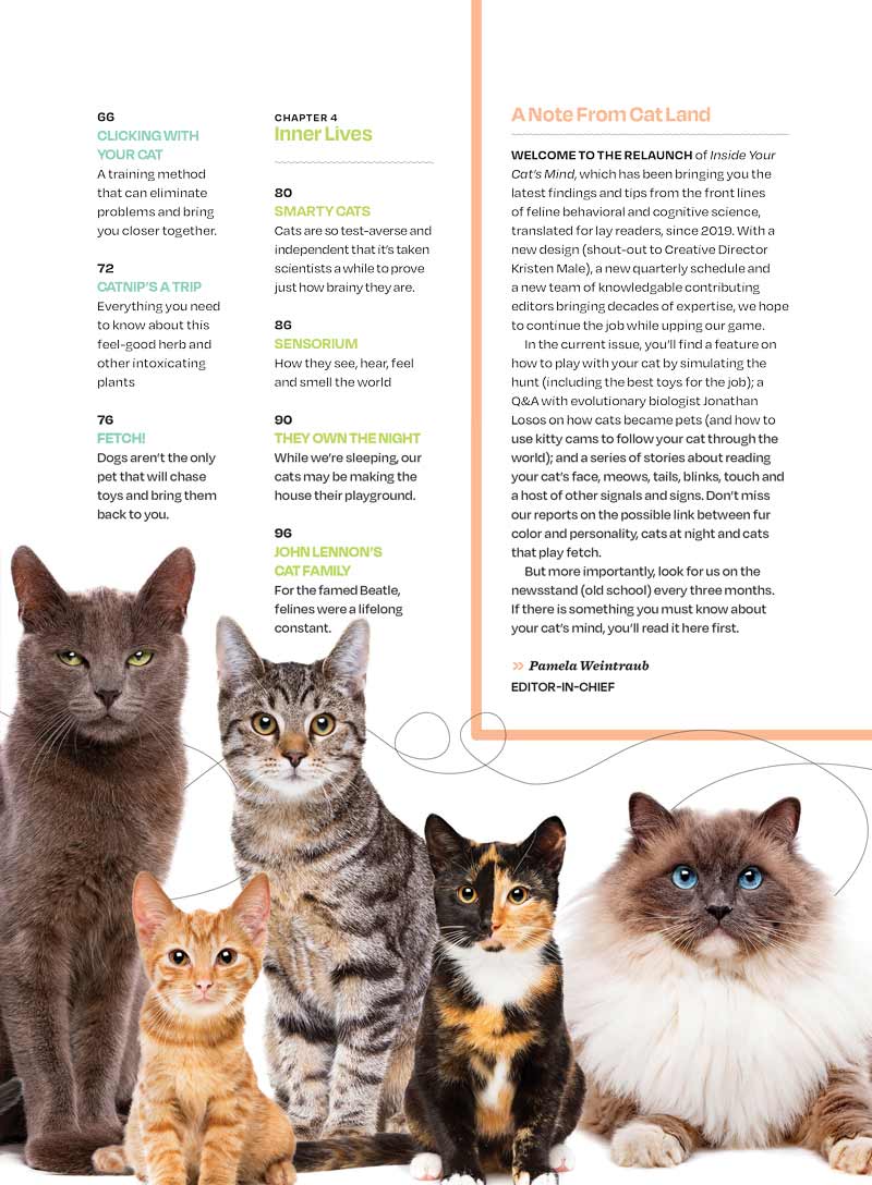 Inside Your Cat's Mind - Reading Cat's Face, Decoding Tails, Whiskers, Blinks, Meow Meaning, How To Play, Sleeping, Catnip, Training, Intelligence Test, Senses & Is Fur Color Linked To Personality?