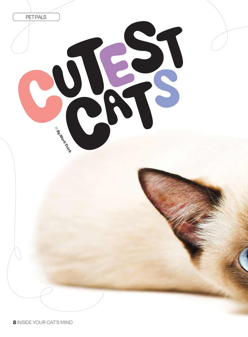 Inside Your Cat's Mind - Reading Cat's Face, Decoding Tails, Whiskers, Blinks, Meow Meaning, How To Play, Sleeping, Catnip, Training, Intelligence Test, Senses & Is Fur Color Linked To Personality?