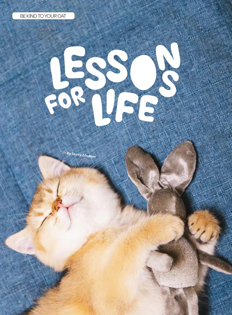 Inside Your Cat's Mind - Reading Cat's Face, Decoding Tails, Whiskers, Blinks, Meow Meaning, How To Play, Sleeping, Catnip, Training, Intelligence Test, Senses & Is Fur Color Linked To Personality?