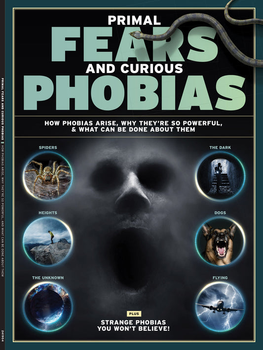 Fears & Phobias - Sources Of Fears, Why They're So Powerful, Promising Treatments, Spiders, Heights, The Dark, Flying, Death, Dogs, Public Speaking, Crowds, Strangers, Needles, FOMO, Clowns & More!
