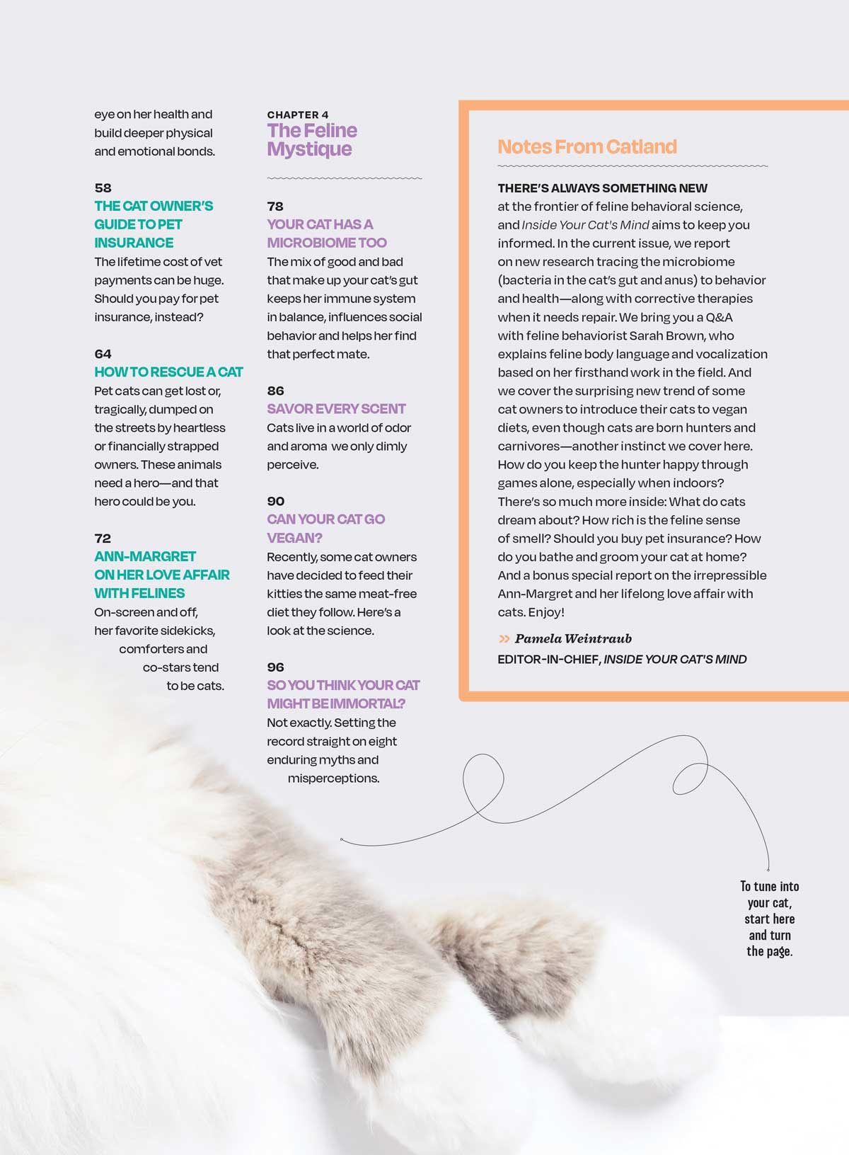 Cat's Mind - What They Really Think: What They Dream About, Reading Their Body Language, Can They Go Vegan, Secret Language Of Meows, Think Like A Cat, Whiskers, Q&A, Feelings, Microbiome & More!