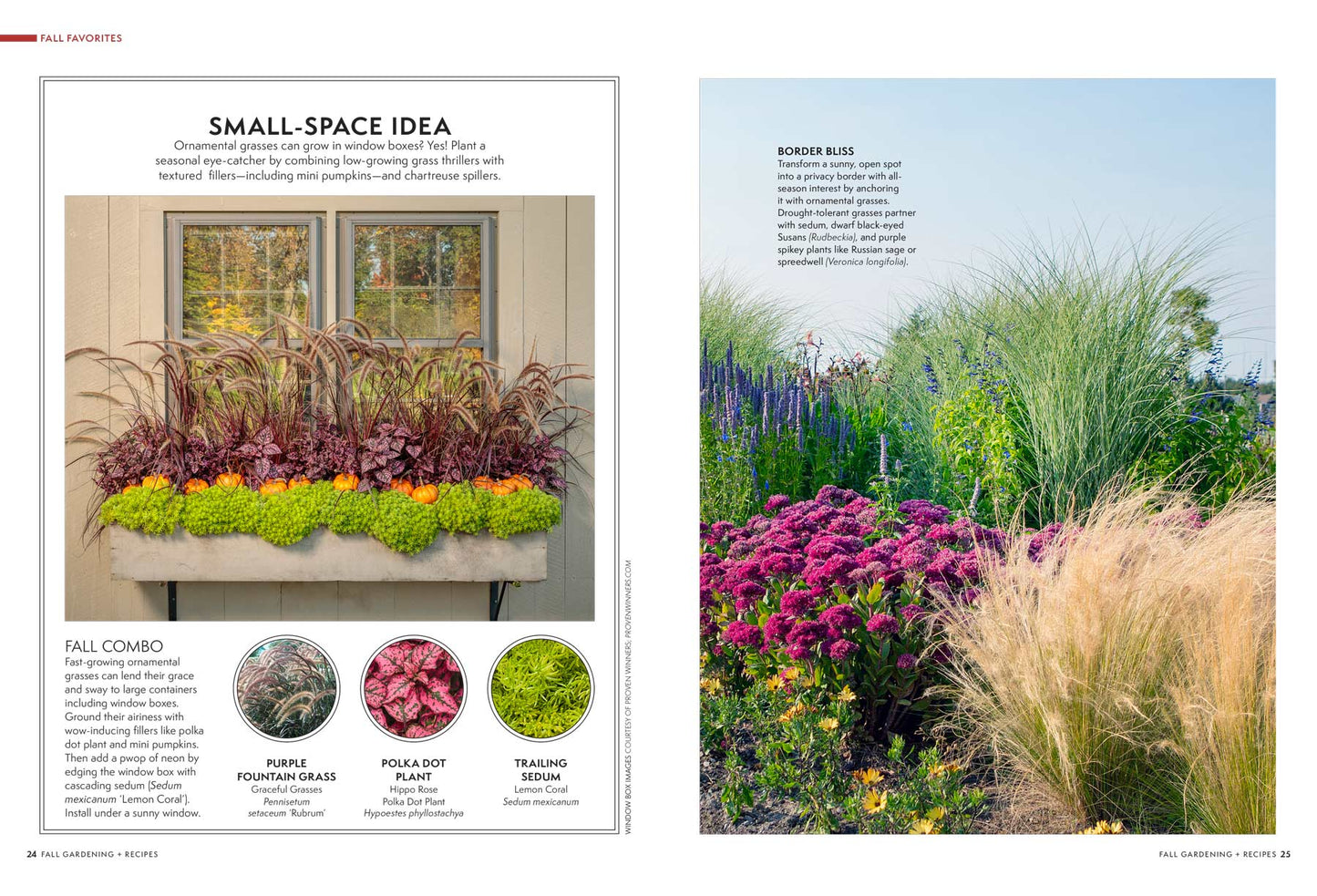 Fall Gardening + Recipes - 35 Garden To Table Dishes, Grow Your Own Veggies & Herbs, Colorful Containers, Easy Ornamental Grasses, Fiery Shrubs & Small Tress, Small-Space Garden Ideas, Borders & More!