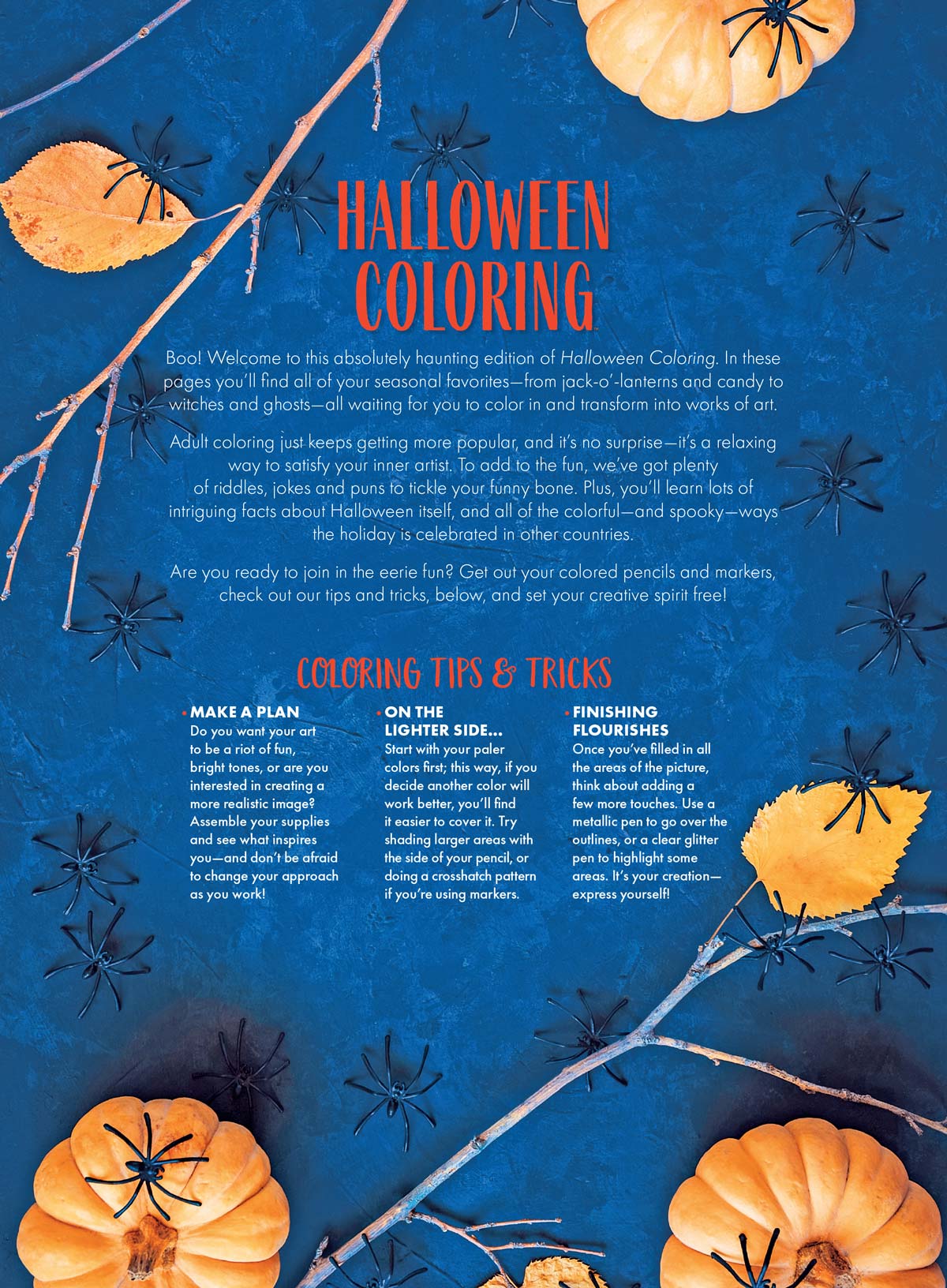 Halloween Coloring - 32 Spooky Designs, Adult Coloring Book, Pumpkins, Ghosts, Witches, Trick Or Treat, Monsters, Haunted Houses, Spider Webs, Broom Sticks, Bats, Jack-O-Lanterns, Candy, Grave & Draw!