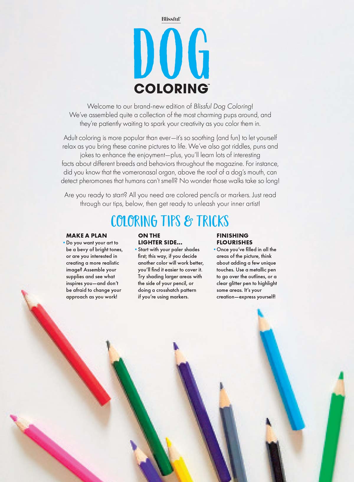 Dog Coloring - 32 Inspiring Designs, Bring Canine Pictures To Life, All Breeds, Riddles, Puns, Jokes & Fun Facts, Adult Coloring Book, Unlock Creativity, Relax, Unwind, Unplug, Reduce Anxiety & Draw!