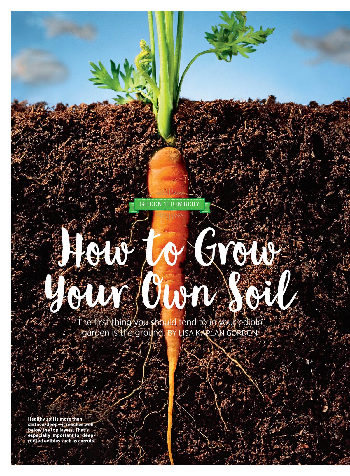 American Farmers Almanac - Edible Gardening: 217 Gardening Tips To Growing, Planting,  Preserving, Canning & Cooking Your Garden Harvest, Delicious Homegrown Recipes, Unlock Garden Success & More!