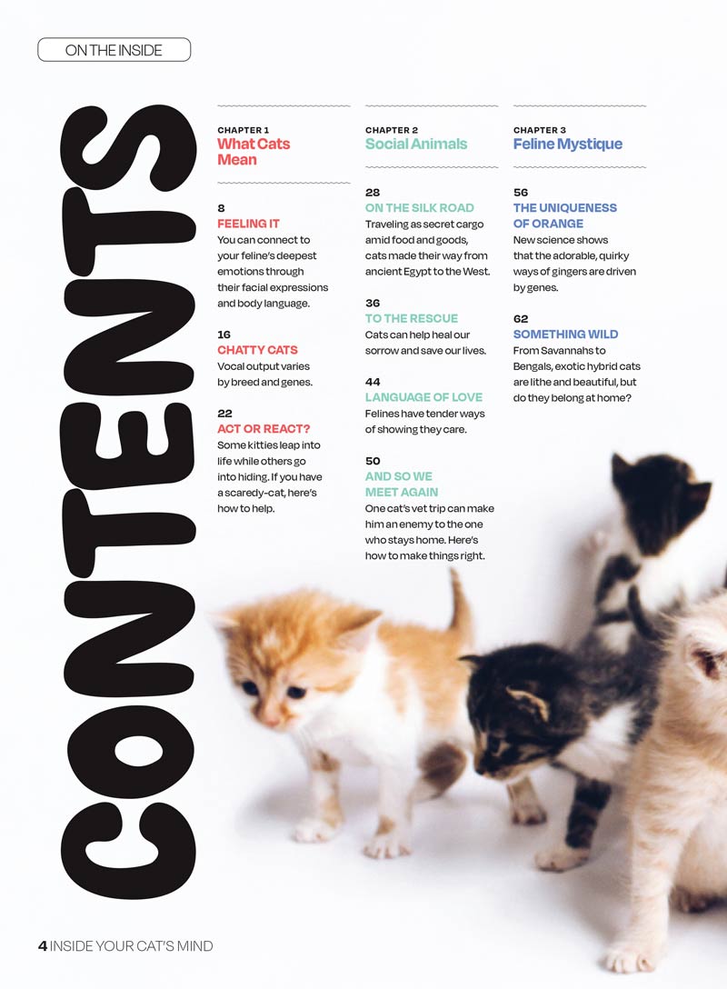 Inside Your Cat’s Mind - The Secret Language Of Cats: What They Really Mean, Decode Feline Behavior, Whisker & Tail Language, Slow Blink Secrets, Build A Deeper Bond With Your Beloved Cat & More!
