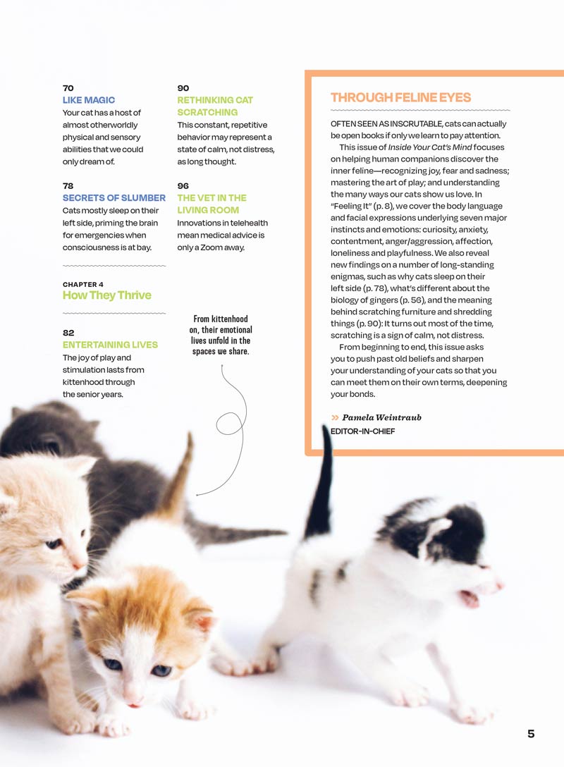 Inside Your Cat’s Mind - The Secret Language Of Cats: What They Really Mean, Decode Feline Behavior, Whisker & Tail Language, Slow Blink Secrets, Build A Deeper Bond With Your Beloved Cat & More!