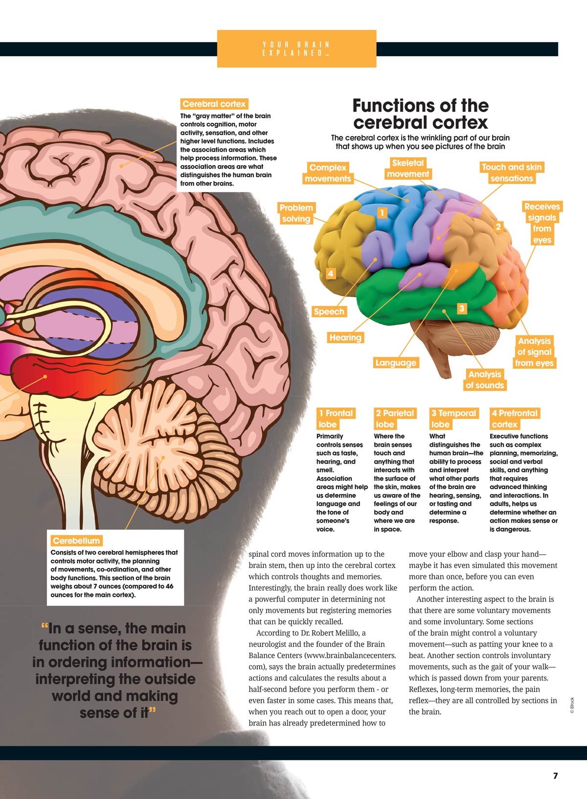 Understanding The Brain - Unravelling The Nervous System: The Brain’s Hidden Powers, Science Behind Human Emotion & Perception, Why We Feel Pain, Need Sleep, Fall For Optical Illusions & More!