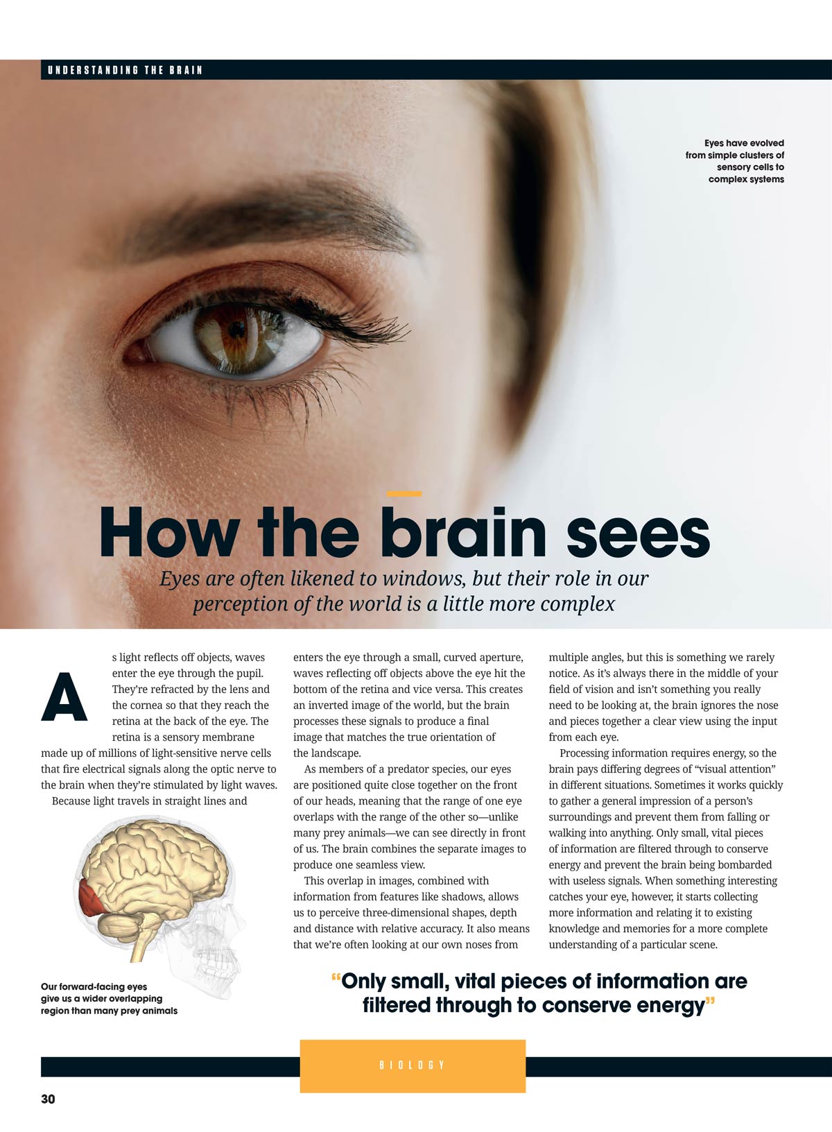 Understanding The Brain - Unravelling The Nervous System: The Brain’s Hidden Powers, Science Behind Human Emotion & Perception, Why We Feel Pain, Need Sleep, Fall For Optical Illusions & More!