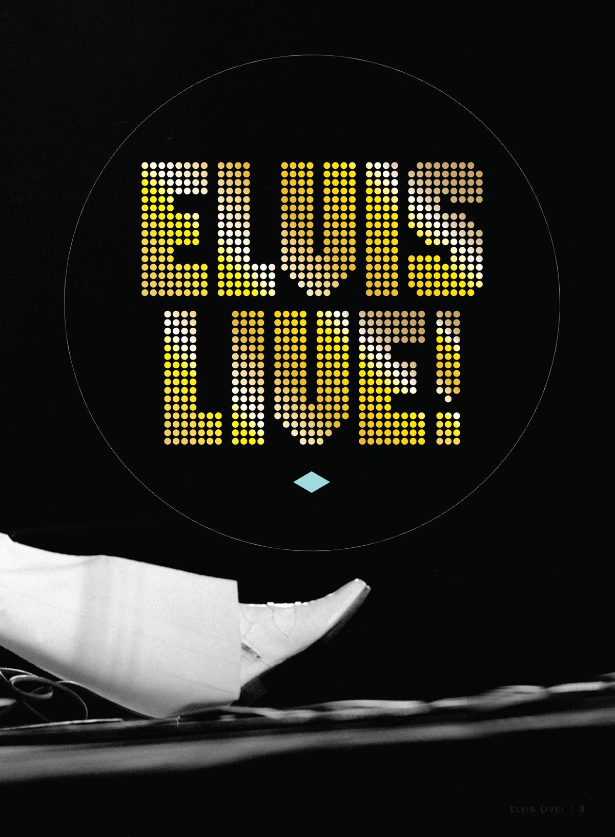 The Elvis Archives - Elvis Live: His Life In Pictures, 80+ Rare Photos From The Private Collection, Memphis, The '68 Comeback, The Aloha Special, Vegas & More!