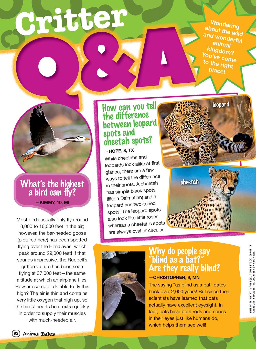 Animal Tales - How To Be A Pet Whisperer: 100+ Animal Facts, 10 Free Posters, 4 Animal Jobs, Can You Read Your Pet's Mind, Critter Q&A, Animal Heroes, Photo Special, Rescues, Trivia, Spelling & More!