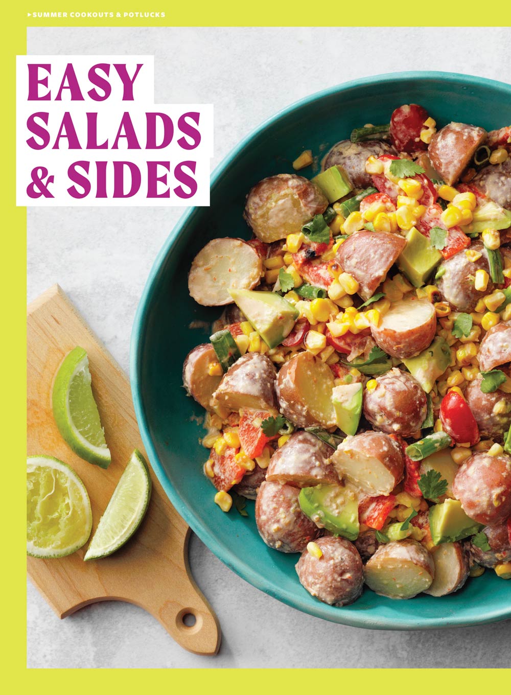 Taste of Home - Summer Cookouts & Potlucks: 103 Recipes For Your Best BBQ Ever, Make & Take Desserts, Crowd-Pleasing Appetizers, Grilled Suppers Including Chicken, Potato Salad, Brownies & More!