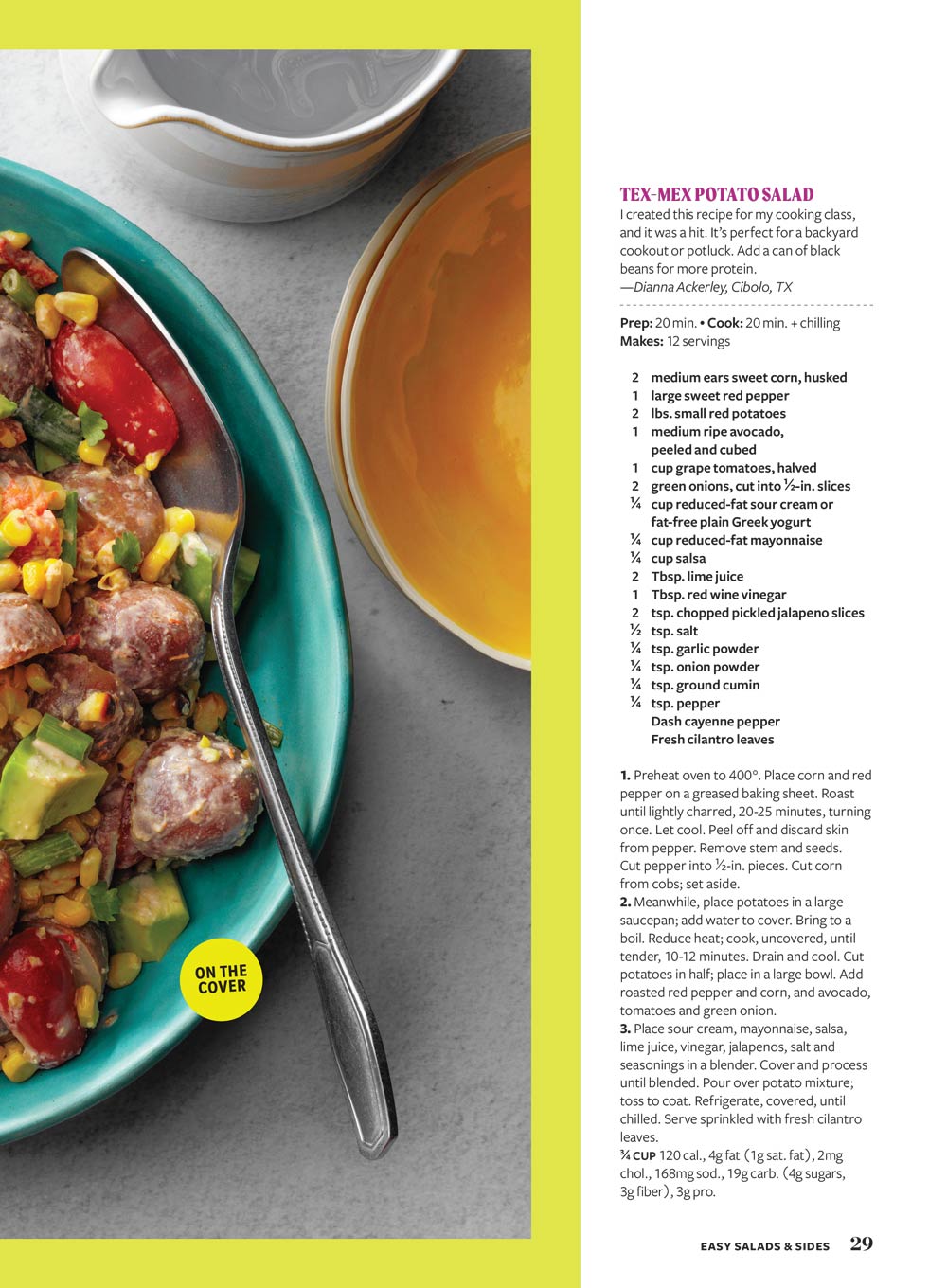 Taste of Home - Summer Cookouts & Potlucks: 103 Recipes For Your Best BBQ Ever, Make & Take Desserts, Crowd-Pleasing Appetizers, Grilled Suppers Including Chicken, Potato Salad, Brownies & More!