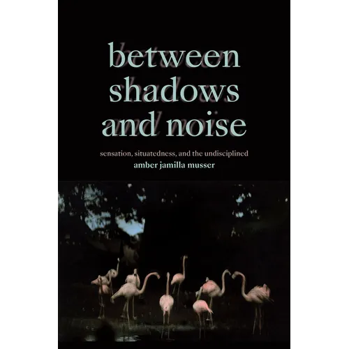 Between Shadows and Noise: Sensation, Situatedness, and the Undisciplined
