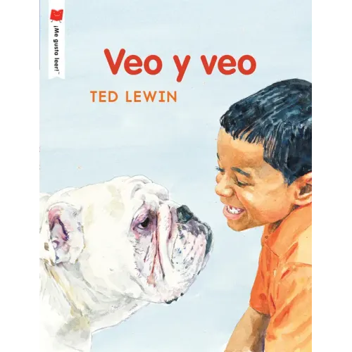 Veo Y Veo