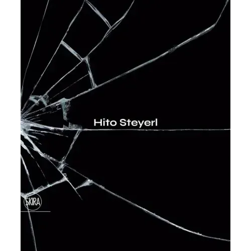 Hito Steyerl: The City of Broken Windows