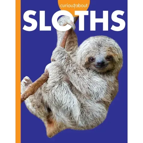 Curious about Sloths