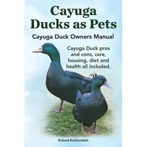 Cayuga Ducks as Pets. Cayuga Duck Owners Manual. Cayuga Duck Pros and Cons, Care, Housing, Diet and Health All Included.