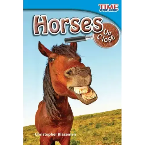 Horses Up Close