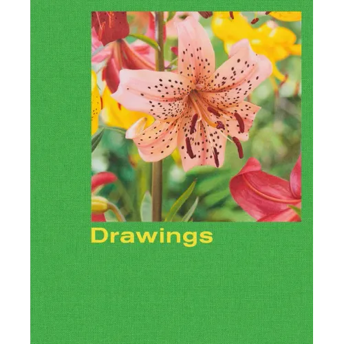 Mathew Cerletty: Drawings