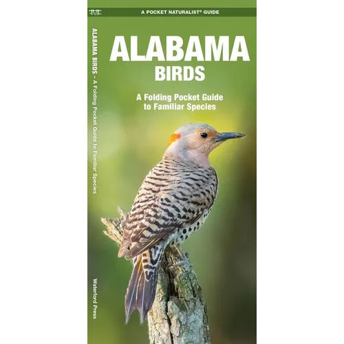 Alabama Birds: An Introduction to Familiar Species