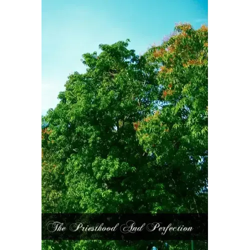 The Priesthood And Perfection