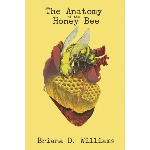 The Anatomy of the Honey Bee