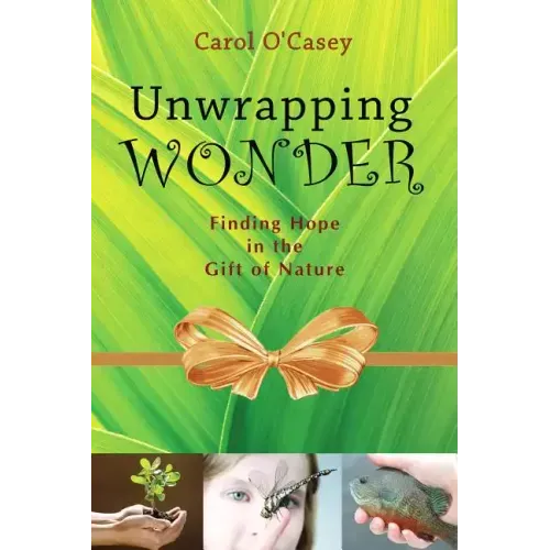 Unwrapping Wonder: Finding Hope in the Gift of Nature
