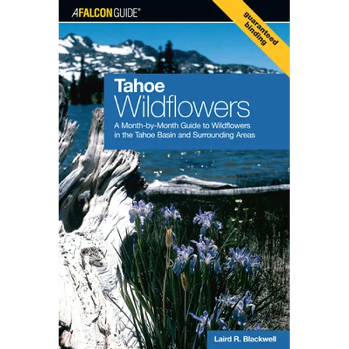 Tahoe Wildflowers
