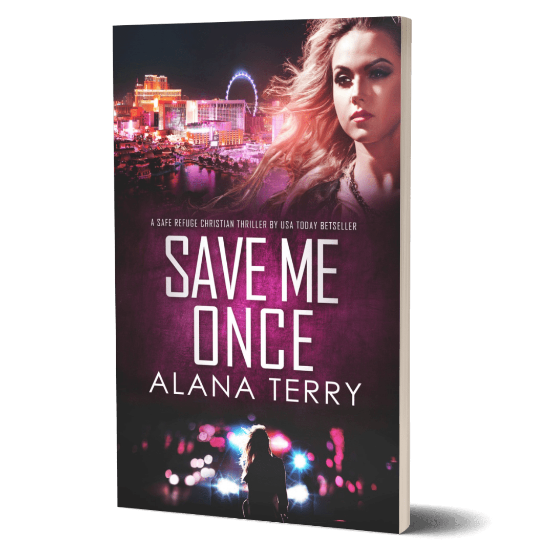 Save Me Once Book