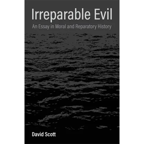 Irreparable Evil: An Essay in Moral and Reparatory History