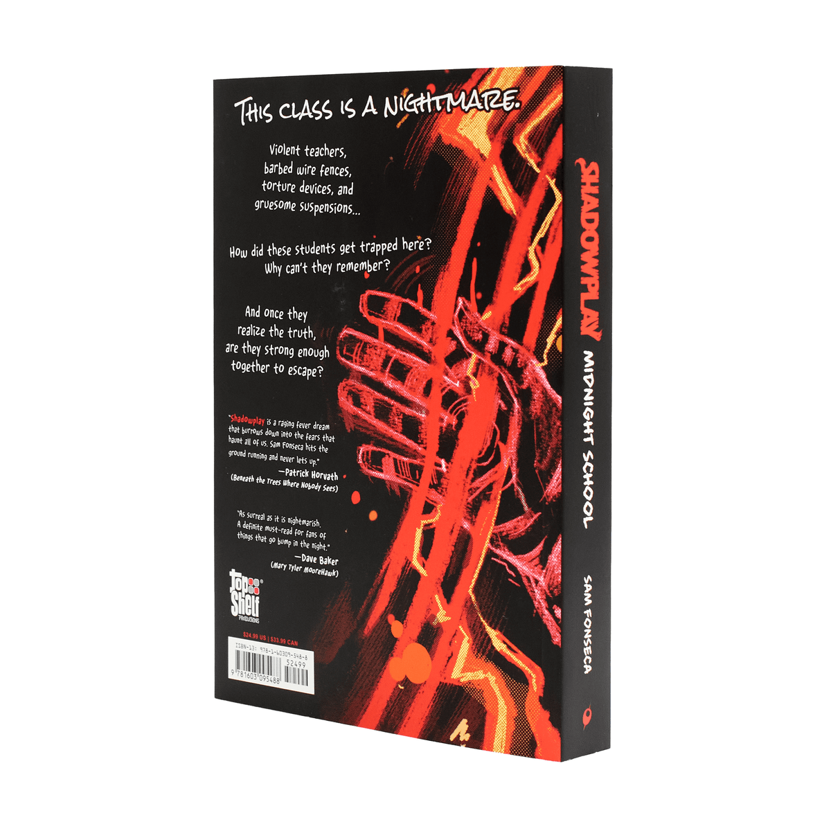 Shadowplay (Book 1): Midnight School