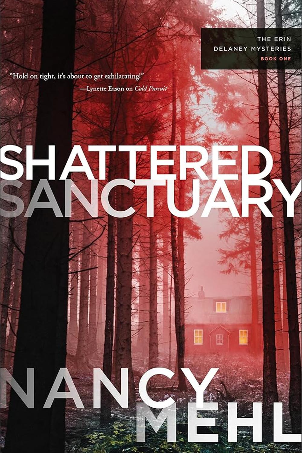 Shattered Sanctuary Book