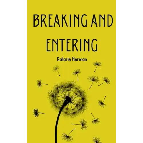 Breaking and Entering