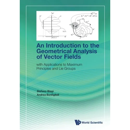 Introduction to the Geometrical Analysis of Vector Fields