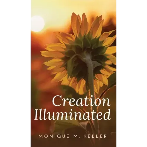 Creation Illuminated