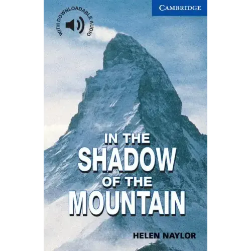 In the Shadow of the Mountain Level 5