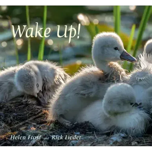 Wake Up!