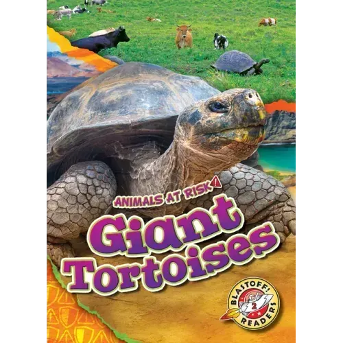 Giant Tortoises