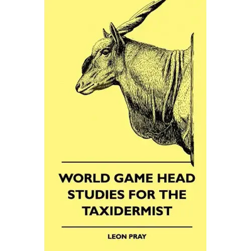 World Game Head Studies for the Taxidermist