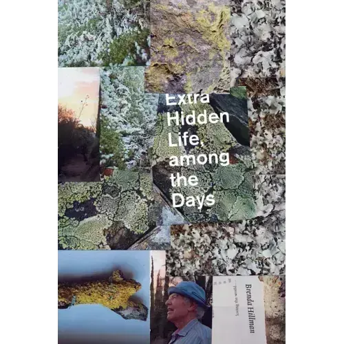 Extra Hidden Life, Among the Days