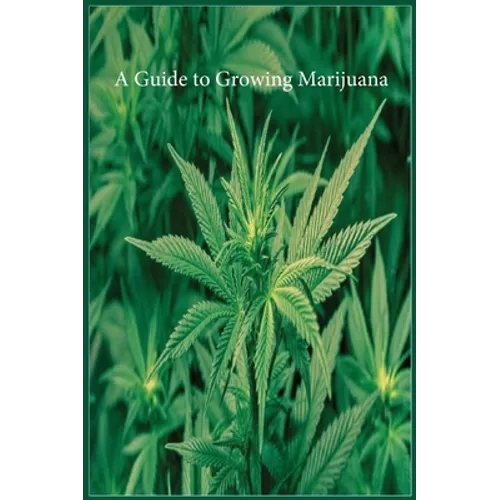 A Guide to Growing Marijuana